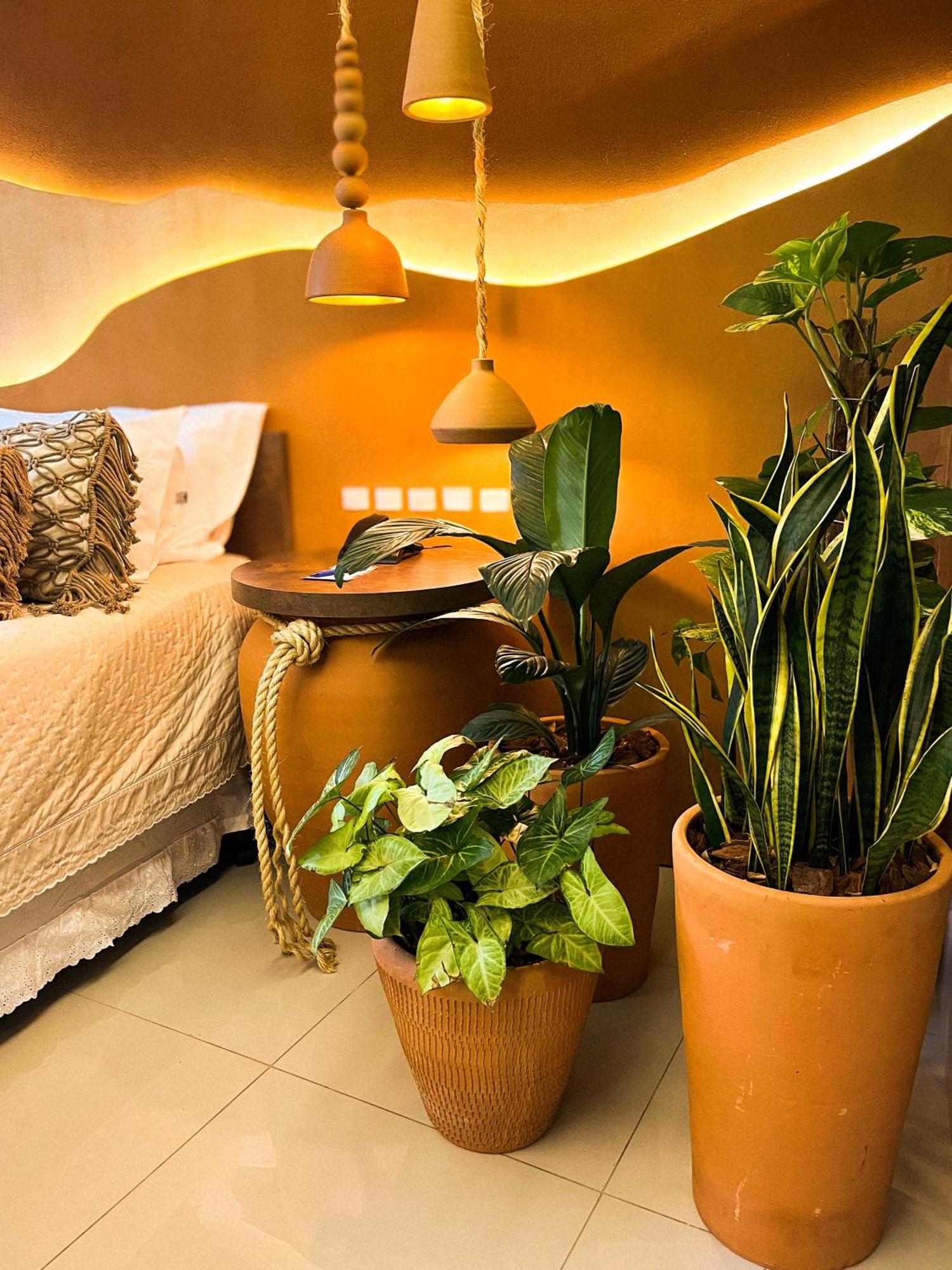 Vivaz Cataratas Hotel Resort フォス・ド・イグアス エクステリア 写真